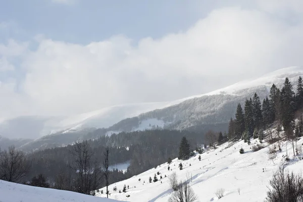 Winter Berglandschap Bergen Sneeuw Eerste Sneeuw Bergen Twilight Berg Weide — Stockfoto