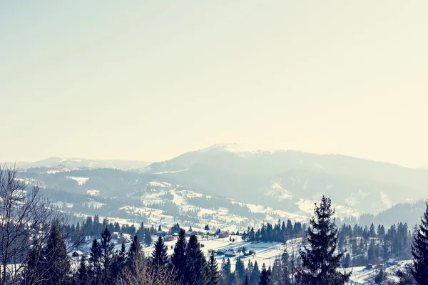 Winter Berglandschap Bergen Sneeuw Eerste Sneeuw Bergen Twilight Berg Weide — Stockfoto