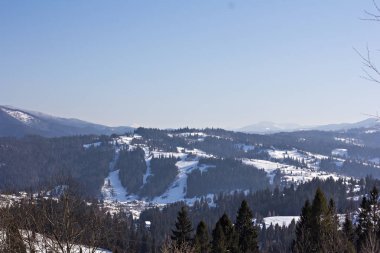 Kış dağ manzarası. Kar dağlarda. İlk kar dağlarda. Karpat Dağları'nda ilk buz kaplı dağ çayır üzerinde Alacakaranlık.