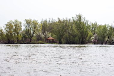 Yeşil çayır ağaçlarda Tuna Nehri bankalar üzerinde erken baharda sular altında. Danube doğal nehir manzara, ahşap ev ve tekneler. Tuna Nehri üzerinde bahar. 
