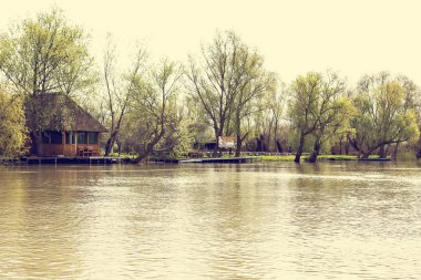 Yeşil çayır ağaçlarda Tuna Nehri bankalar üzerinde erken baharda sular altında. Danube doğal nehir manzara, ahşap ev ve tekneler. Tuna Nehri üzerinde bahar. 