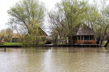 Yeşil çayır ağaçlarda Tuna Nehri bankalar üzerinde erken baharda sular altında. Danube doğal nehir manzara, ahşap ev ve tekneler. Tuna Nehri üzerinde bahar. 