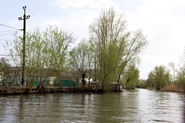 Yeşil çayır ağaçlarda Tuna Nehri bankalar üzerinde erken baharda sular altında. Danube doğal nehir manzara, ahşap ev ve tekneler. Tuna Nehri üzerinde bahar.