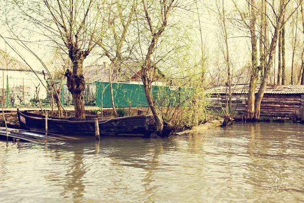 Затопленные Деревья Зеленом Лугу Над Берегами Дуная Ранней Весной Дунайский — стоковое фото