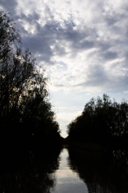 Tuna Nehri kıyısında üzerinde yeşil çayır sular altında ağaçlarda