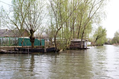 Tuna Nehri kıyısında üzerinde yeşil çayır sular altında ağaçlarda
