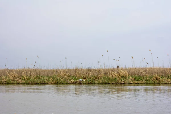 Holzsteg an der Donau. Quelle an der Donau — Stockfoto