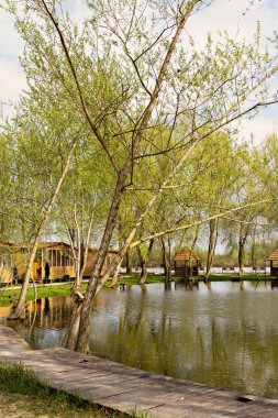 Nehir kıyısındaki evler. Dinlenme evi, nehir kıyısında otel. 