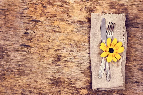 Çatal, bıçak, peçete, çatal bıçak takımı.