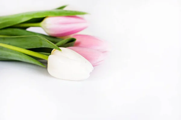 Boeket van witte en roze tulpen op een witte achtergrond — Stockfoto