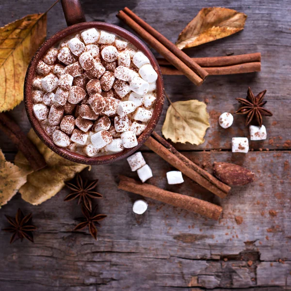 Coffee, cocoa with marshmallows and autumn.