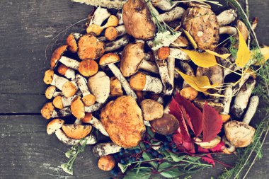 Ahşap arka planda orman mantarları. 