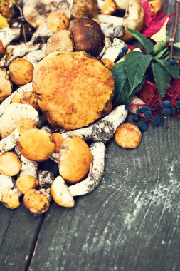 Ahşap arka planda orman mantarları. 