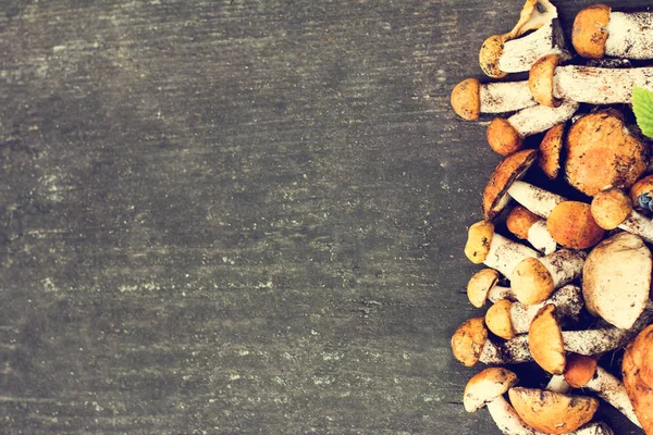 Лесные грибы на деревянном фоне. — стоковое фото