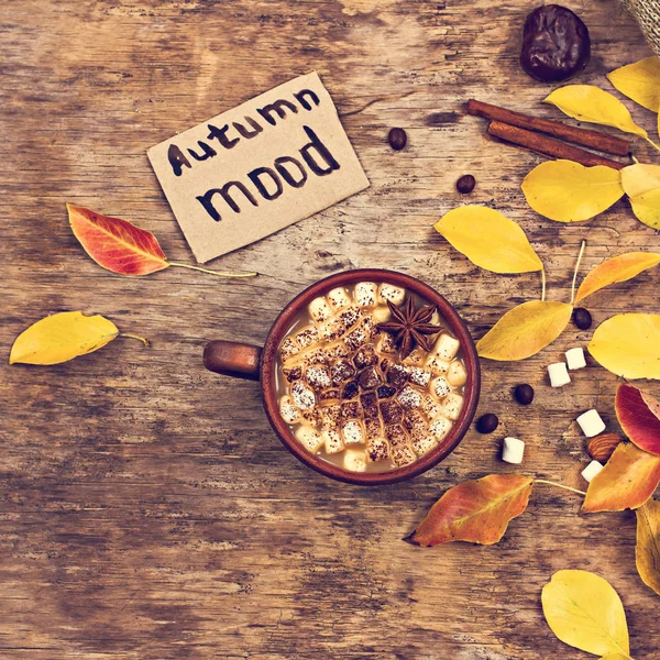 Kaffee, Kakao mit Marshmallows und Herbst. — Stockfoto