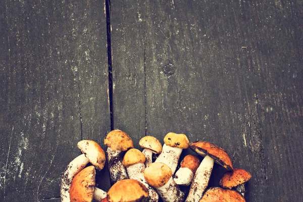 Setas del bosque sobre un fondo de madera. — Foto de Stock