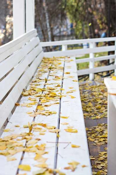 Banco con hojas de otoño — Foto de Stock