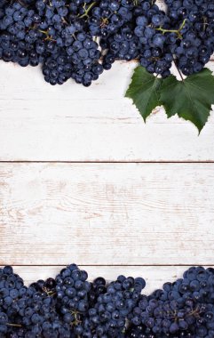 Beyaz tahtalarda mavi üzümler. Üzümlü arka plan, Top view, yakın plan. Metnin için yer.