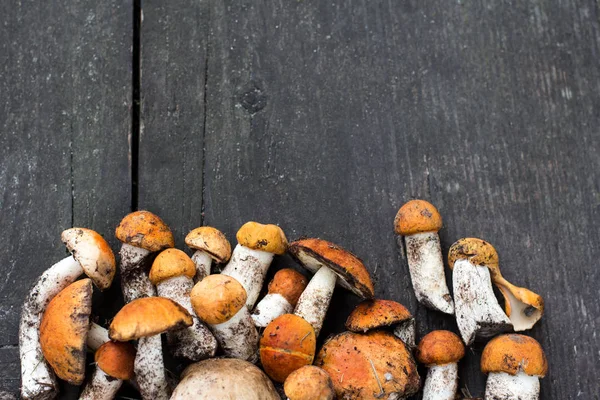 Waldpilze auf einem hölzernen Hintergrund. — Stockfoto