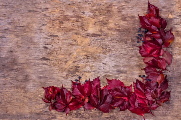 Red autumn leaves on a wooden background. Frame of autumn leaves.