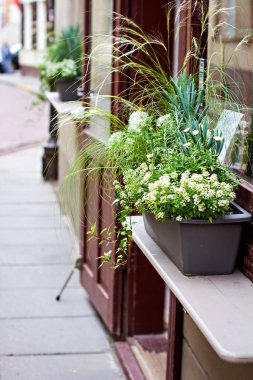 Sokakta çiçek aranjmanı