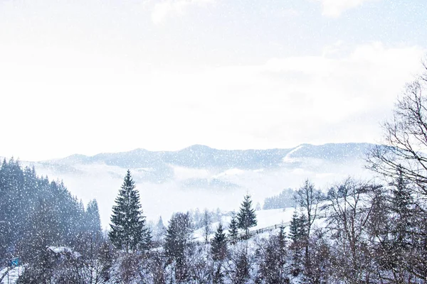 Paisaje de invierno. Montañas en la nieve. La primera nieve en las montañas . —  Fotos de Stock