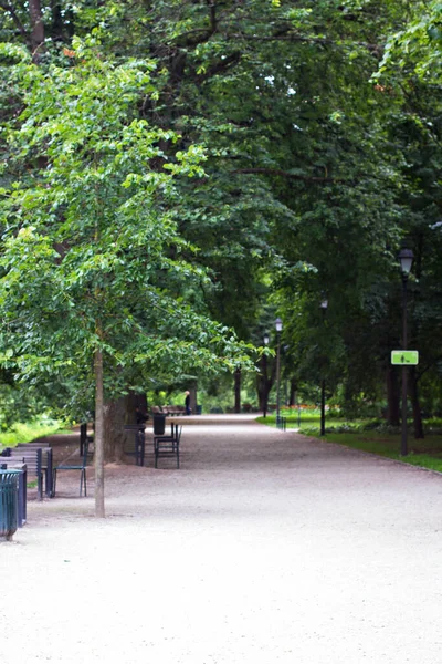 Bernardinská Zahrada Bernardinu Sodas Litevském Hlavním Městě Vilniusu Stoly Židle — Stock fotografie