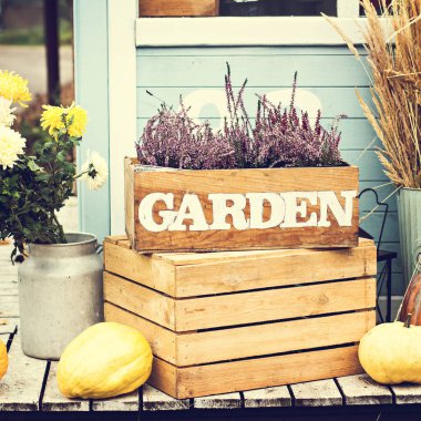 Bahçe bahçesinde, verandada sonbahar durgun. Heather, ayçiçekleri, balkabakları, tahta kutulardaki çiviler, sonbahar natürmortları