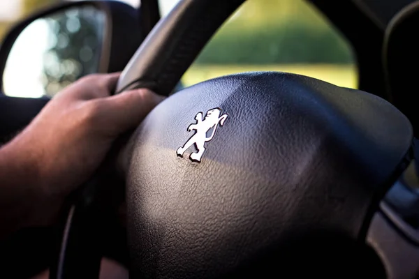 Kiev Ukraine July 2019 Man Hands Steering Wheel Peugeot Car — Stock Photo, Image