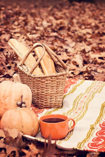 Autumn picnic. cozy Autumn picnic