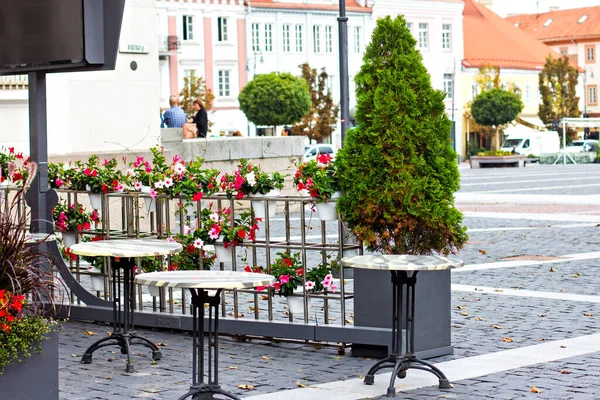 Aconchegante Café Rua Com Flores Fotografia Turística Rua Acolhedora Com — Fotografia de Stock