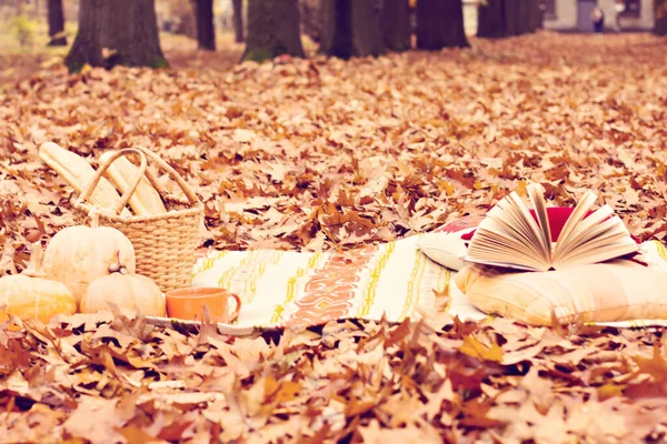 秋のピクニック 居心地の良い秋のピクニック — ストック写真