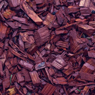 Çiçek tarhında ağaç kabuğu