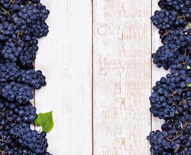 Beyaz tahtalarda mavi üzümler. Üzümlü arka plan, Top view, yakın plan. Metnin için yer.