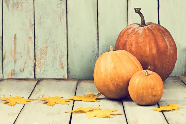 Podzimní Kompozice Dýněmi Listy Lehkých Dřevěných Deskách Útulný Podzim Podzimní — Stock fotografie