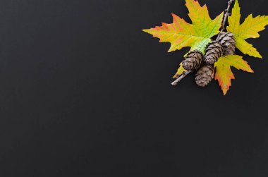 Sonbahar leavesand ve ahşap masa üzerinde koni ile sonbahar arka plan. Metniniz için kopya alanı ile Center'da siyah kara tahta. Rahat sonbahar natürmort. Geri okul kavramı. Üstten görünüm