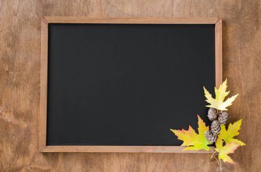 Sonbahar yaprakları ve ahşap masa üzerinde koni ile sonbahar arka plan. Metniniz için kopya alanı ile Center'da siyah kara tahta. Rahat sonbahar natürmort. Geri okul kavramı. Üstten görünüm