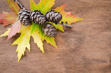 Sonbahar yaprakları ve koniler kopya alanı ile eski ahşap arka plan üzerinde renkli. Yazıt, üstten görünüm, metin için tablet için kopya yer.