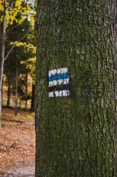 Marking the tourist route painted on the tree. Travel route sign. Season of the autumn.