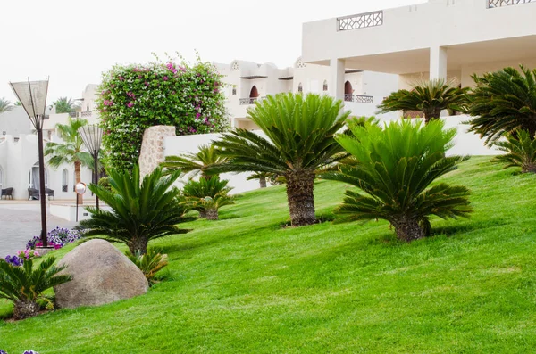 Landscape design at hotel territori in Sharm El Sheikh, Egypt
