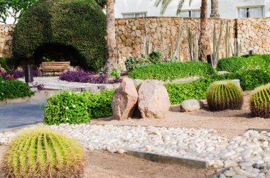 Palmiye ağaçları ve kaktüsler ile bakımlı Park alanı.