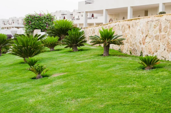 Landscape design at hotel territori in Sharm El Sheikh, Egypt