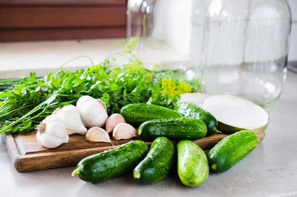 Preparat, sebze, sarımsak, tuz ve baharatlarla Marine edilmiş koruma salatalıklar. — Stok fotoğraf
