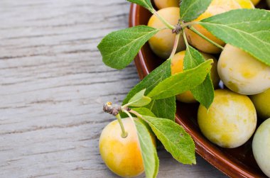 Bir kasede ekolojik olarak yetiştirilen Sarı Erik. Olgun tatlı Erik bir yığını yakın.