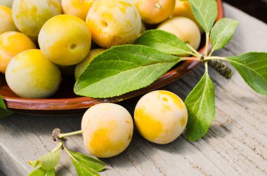 Bir kasede ekolojik olarak yetiştirilen Sarı Erik. Olgun tatlı Erik bir yığını yakın.