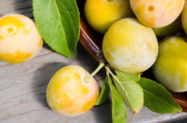 Bir kasede ekolojik olarak yetiştirilen Sarı Erik. Olgun tatlı Erik bir yığını yakın.