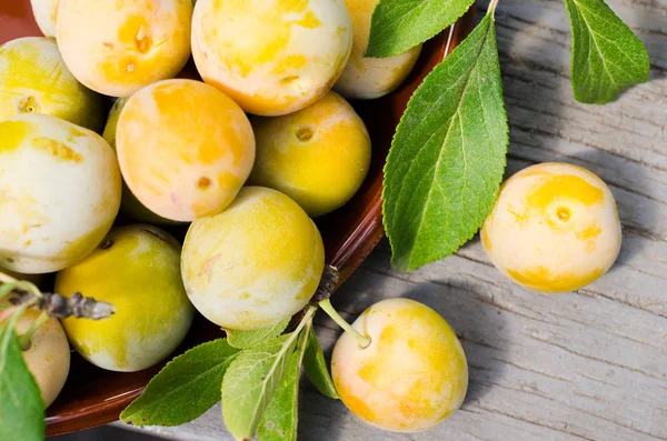 Bir kasede ekolojik olarak yetiştirilen Sarı Erik. Olgun tatlı Erik bir yığını yakın.
