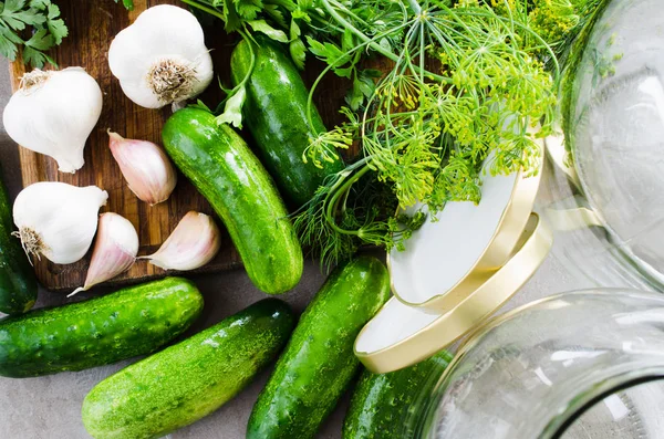 Preparat, sebze, sarımsak, tuz ve baharatlarla Marine edilmiş koruma salatalıklar. — Stok fotoğraf