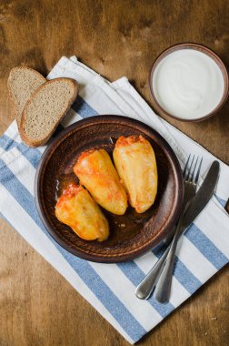 Domates, çavdar ekmeği pirinç ve kıyılmış et yahnisi ile biber dolması. Rustik gıda.