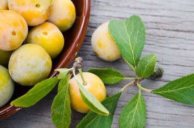 Bir kasede ekolojik olarak yetiştirilen Sarı Erik. Olgun tatlı Erik bir yığını yakın.